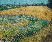 unknow artist Vincent van Gogh Wheatfield oil painting on canvas